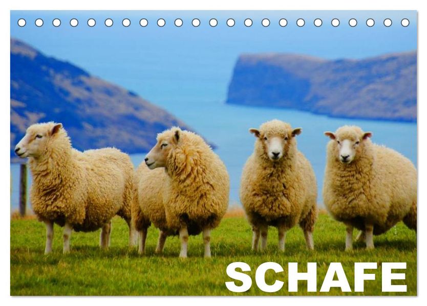 Schafe / Geburtstagskalender (Tischkalender 2027 DIN A5 quer) CALVENDO Monatskalender