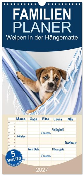 Familienplaner 2027 - Welpen in der Hängematte mit 5 Spalten (Wandkalender 21 x 45 cm) CALVENDO