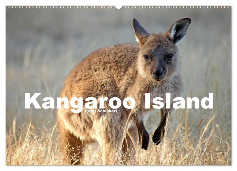 Kangaroo Island (Wandkalender 2027 DIN A2 quer) CALVENDO Monatskalender
