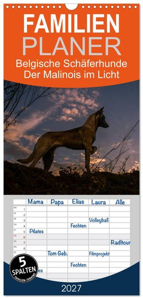 Familienplaner 2027 - Belgische Schäferhunde - Der Malinois im Licht mit 5 Spalten (Wandkalender 21 x 45 cm) CALVENDO
