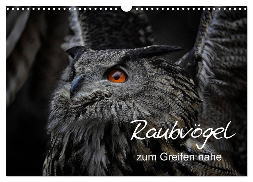 Raubvögel zum Greifen nahe (Wandkalender 2027 DIN A3 quer) CALVENDO Monatskalender