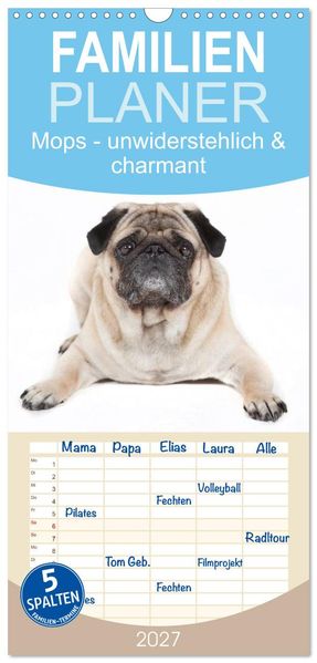 Familienplaner 2027 - Mops - unwiderstehlich und charmant mit 5 Spalten (Wandkalender 21 x 45 cm) CALVENDO