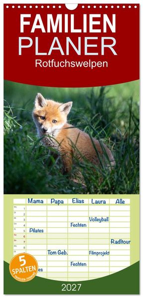Familienplaner 2027 - Rotfuchswelpen mit 5 Spalten (Wandkalender 21 x 45 cm) CALVENDO