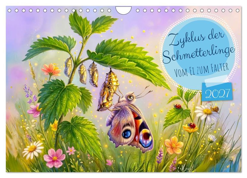 Zyklus der Schmetterlinge - Vom Ei zum Falter (Wandkalender 2027 DIN A4 quer) CALVENDO Monatskalender