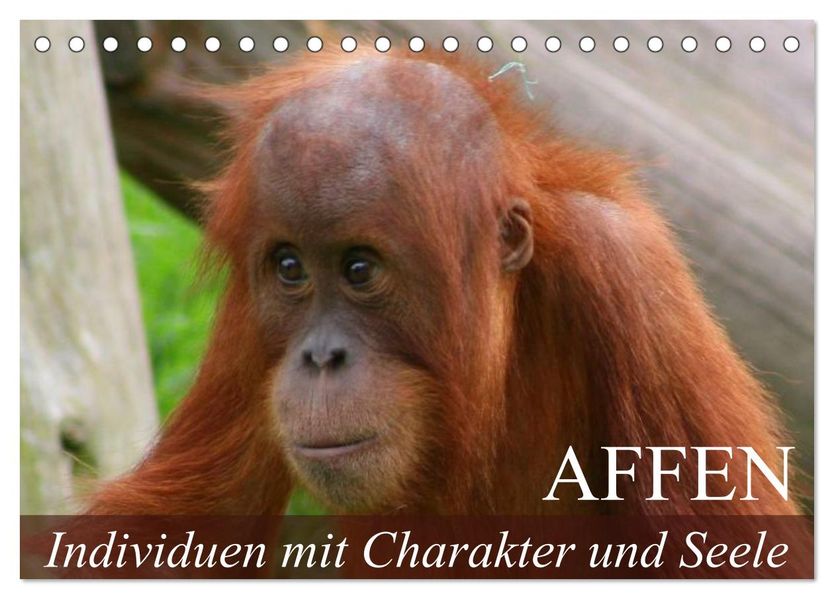 Affen - Individuen mit Charakter und Seele (Tischkalender 2027 DIN A5 quer) CALVENDO Monatskalender