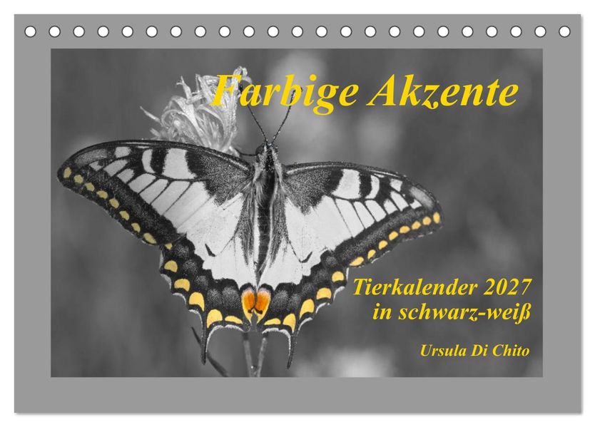 Farbige Akzente - Tierkalender 2027 in schwarz-weiß (Tischkalender 2027 DIN A5 quer) CALVENDO Monatskalender