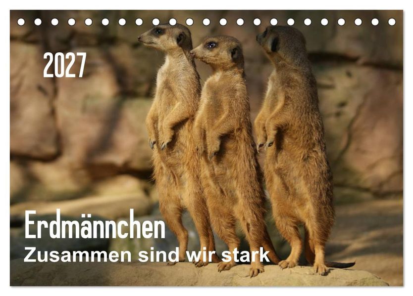 Erdmännchen - Zusammen sind wir stark / CH-Version (Tischkalender 2027 DIN A5 quer) CALVENDO Monatskalender