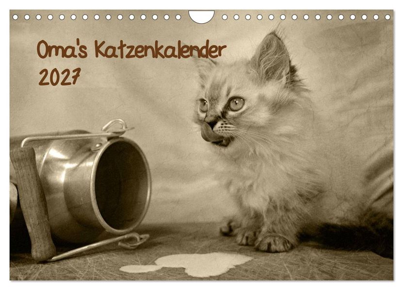 Oma's Katzenkalender 2027 (Wandkalender 2027 DIN A4 quer) CALVENDO Monatskalender