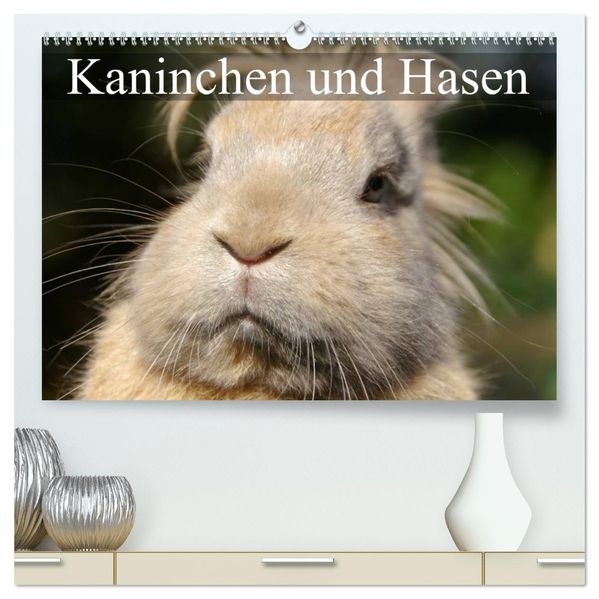 Kaninchen und Hasen (hochwertiger Premium Wandkalender 2027 DIN A2 quer) Kunstdruck in Hochglanz