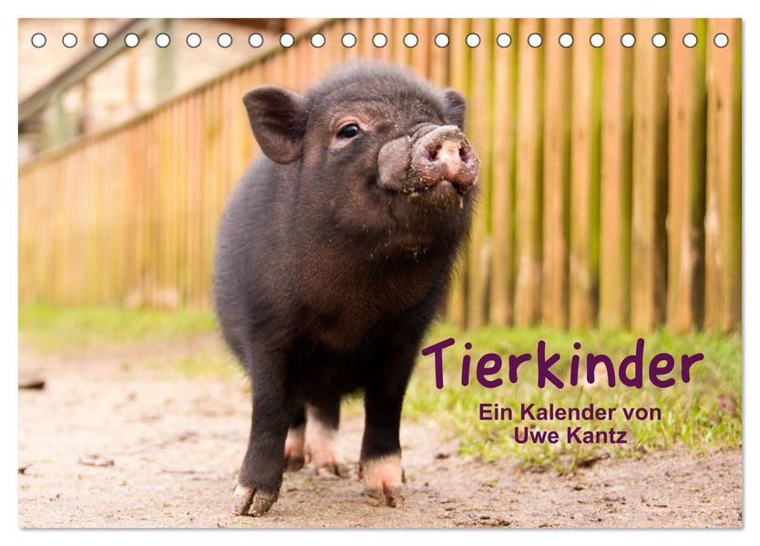 Tierkinder (Tischkalender 2027 DIN A5 quer) CALVENDO Monatskalender