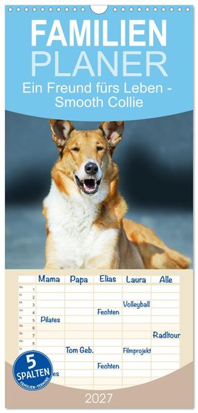 Familienplaner 2027 - Ein Freund fürs Leben - Smooth Collie mit 5 Spalten (Wandkalender 21 x 45 cm) CALVENDO