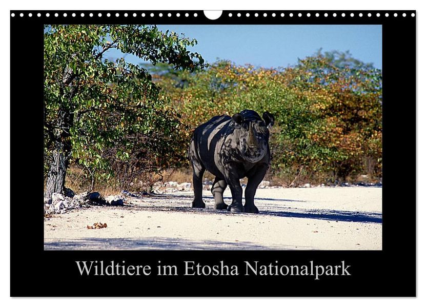 Wildtiere im Etosha Nationalpark (Wandkalender 2027 DIN A3 quer) CALVENDO Monatskalender