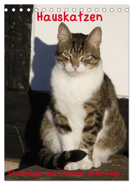 Hauskatzen (Tischkalender 2027 DIN A5 hoch) CALVENDO Monatskalender