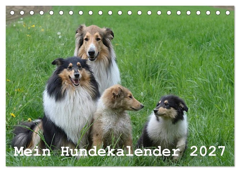 Mein Hundekalender 2027 (Tischkalender 2027 DIN A5 quer) CALVENDO Monatskalender