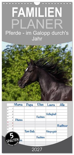 Familienplaner 2027 - Pferde - im Galopp durch's Jahr mit 5 Spalten (Wandkalender 21 x 45 cm) CALVENDO