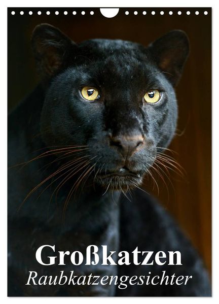 Großkatzen. Raubkatzengesichter (Wandkalender 2027 DIN A4 hoch) CALVENDO Monatskalender