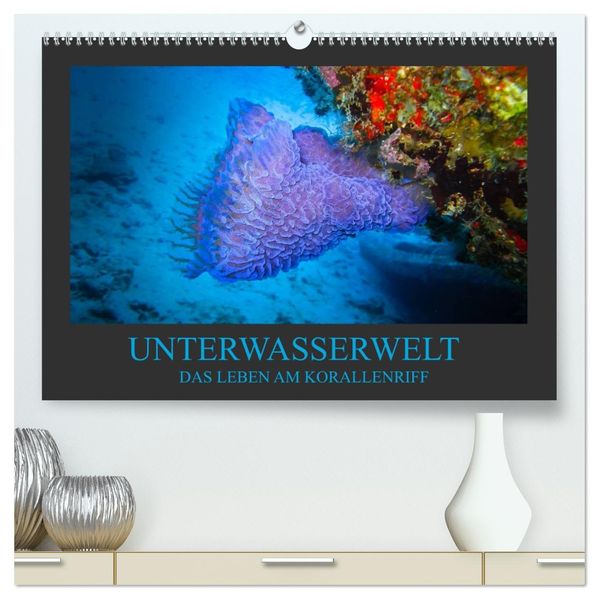 Unterwasserwelt - Das Leben am Korallenriff (hochwertiger Premium Wandkalender 2027 DIN A2 quer) Kunstdruck in Hochglanz