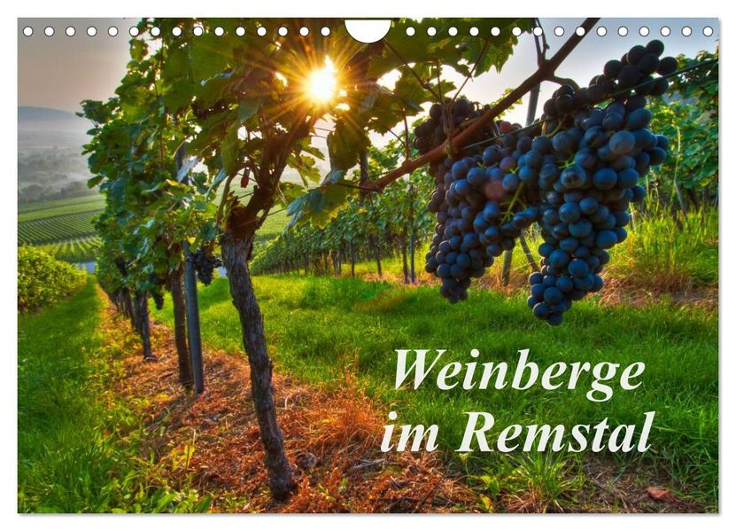 Weinberge im Remstal (Wandkalender 2027 DIN A4 quer) CALVENDO Monatskalender
