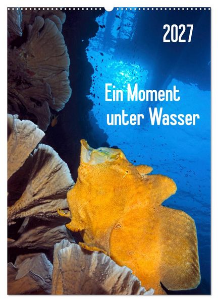 Ein Moment unter Wasser (Wandkalender 2027 DIN A2 hoch) CALVENDO Monatskalender