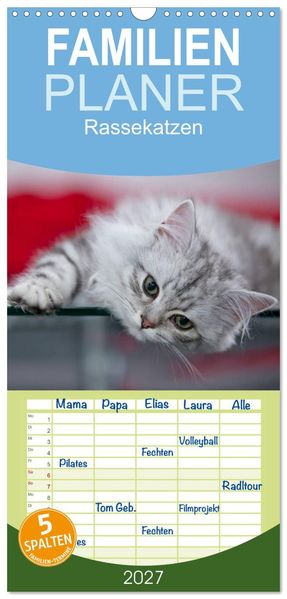 Familienplaner 2027 - Rassekatzen mit 5 Spalten (Wandkalender 21 x 45 cm) CALVENDO