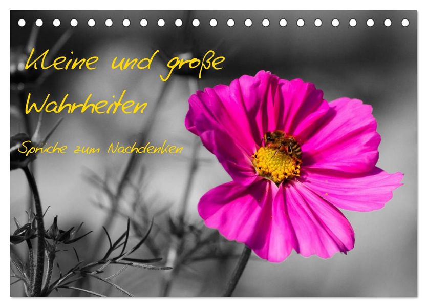 Kleine und große Wahrheiten - Sprüche zum Nachdenken (Tischkalender 2027 DIN A5 quer) CALVENDO Monatskalender