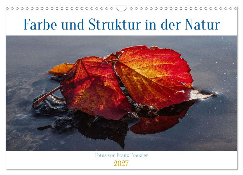 Farbe und Struktur in der Natur (Wandkalender 2027 DIN A3 quer) CALVENDO Monatskalender