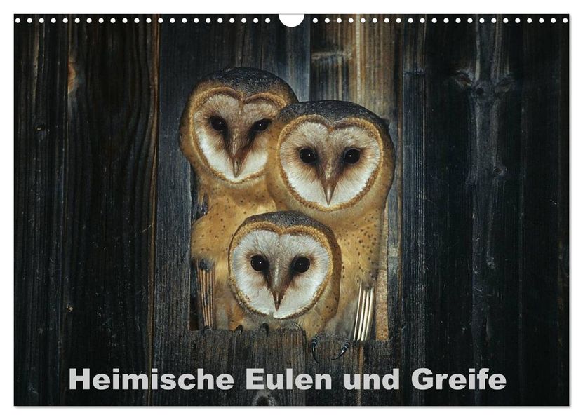 Heimische Eulen und Greife (Wandkalender 2027 DIN A3 quer) CALVENDO Monatskalender