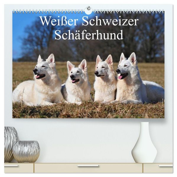Weißer Schweizer Schäferhund (hochwertiger Premium Wandkalender 2027 DIN A2 quer) Kunstdruck in Hochglanz