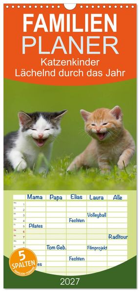Familienplaner 2027 - Lächelnd durchs Jahr - Katzenkinder -Familienplaner hoch mit 5 Spalten (Wandkalender 21 x 45 cm) CALVENDO