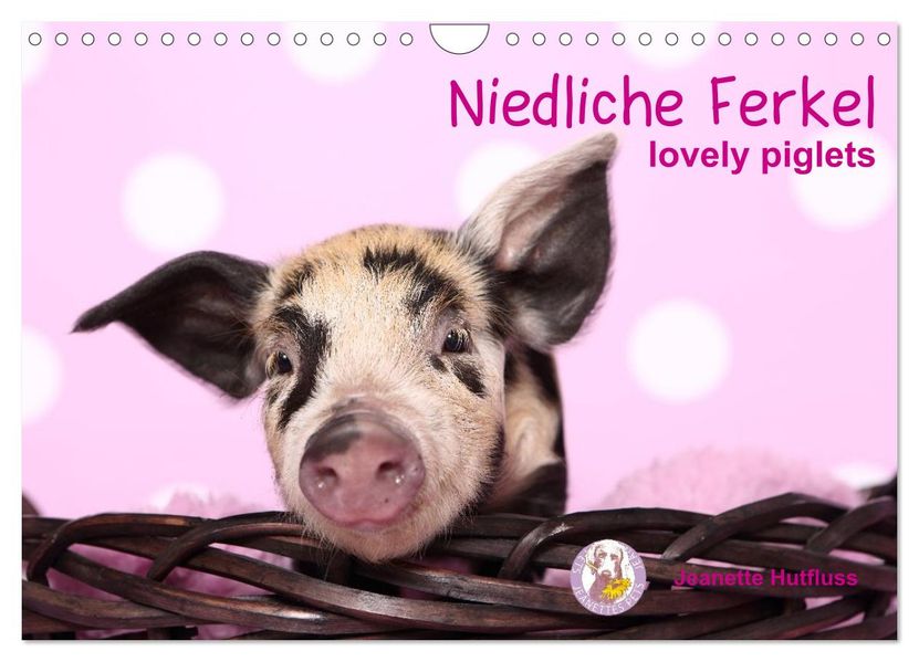 Niedliche Ferkel lovely piglets (Wandkalender 2027 DIN A4 quer) CALVENDO Monatskalender