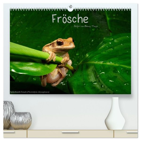 Frösche (hochwertiger Premium Wandkalender 2027 DIN A2 quer) Kunstdruck in Hochglanz