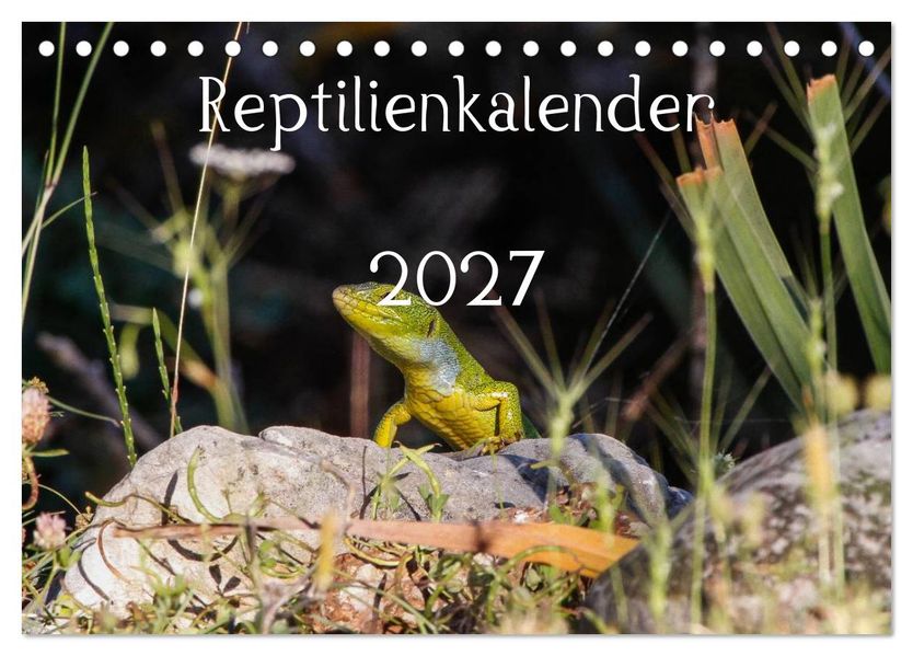 Reptilienkalender 2027 (Tischkalender 2027 DIN A5 quer) CALVENDO Monatskalender