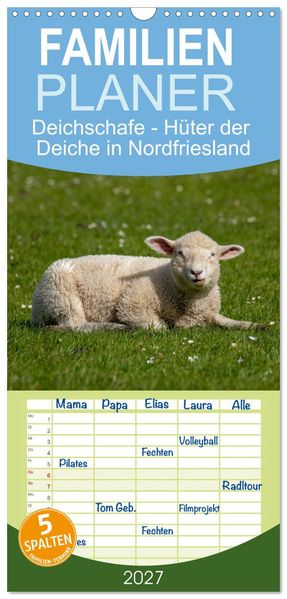 Familienplaner 2027 - Deichschafe - Hüter der Deiche in Nordfriesland mit 5 Spalten (Wandkalender 21 x 45 cm) CALVENDO