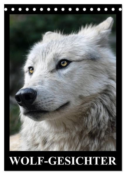 Wolf-Gesichter (Tischkalender 2027 DIN A5 hoch) CALVENDO Monatskalender