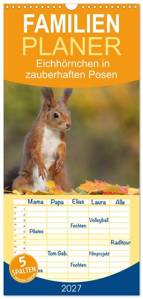 Familienplaner 2027 - Eichhörnchen in zauberhaften Posen mit 5 Spalten (Wandkalender 21 x 45 cm) CALVENDO