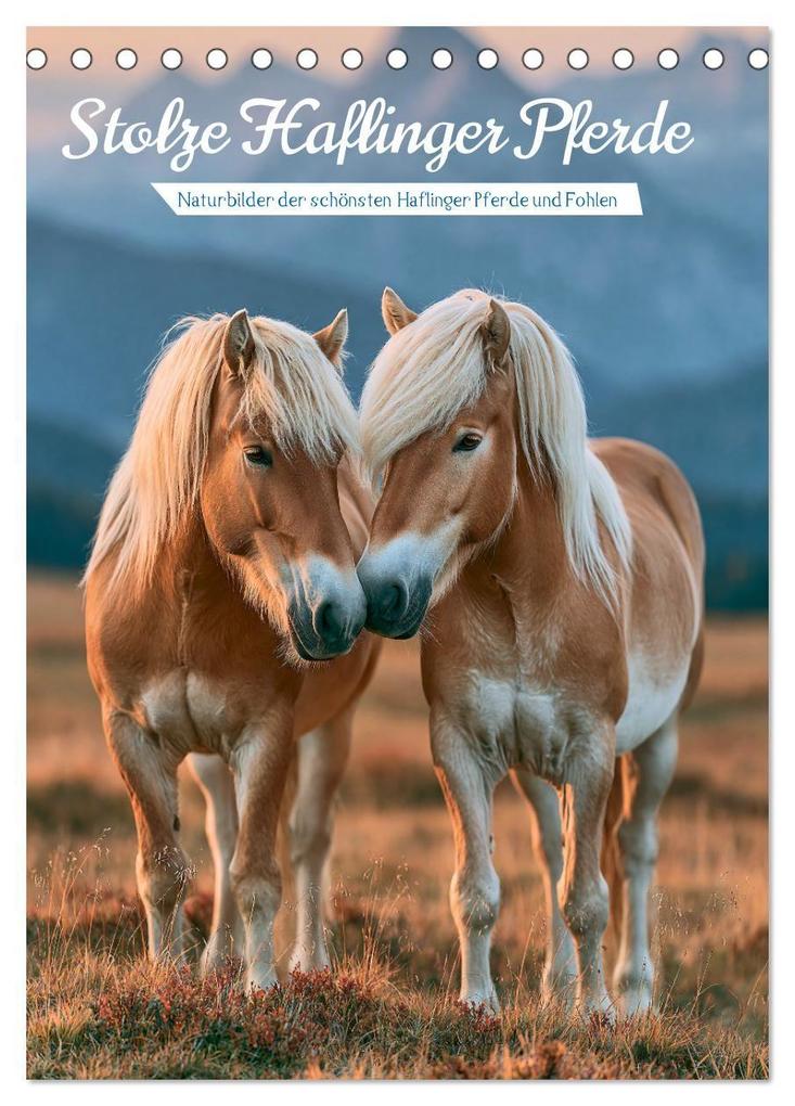 Stolze Haflinger Pferde (Tischkalender 2027 DIN A5 hoch) CALVENDO Monatskalender