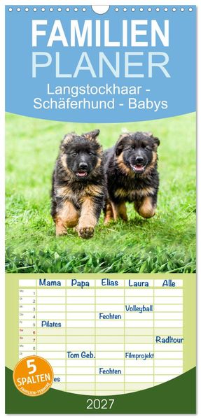 Familienplaner 2027 - Langstockhaar - Schäferhund - Babys mit 5 Spalten (Wandkalender 21 x 45 cm) CALVENDO