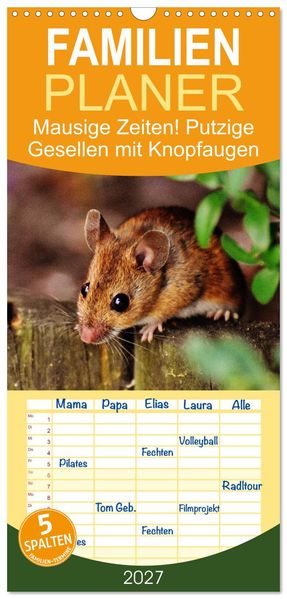 Familienplaner 2027 - Mausige Zeiten! Putzige Gesellen mit Knopfaugen mit 5 Spalten (Wandkalender 21 x 45 cm) CALVENDO
