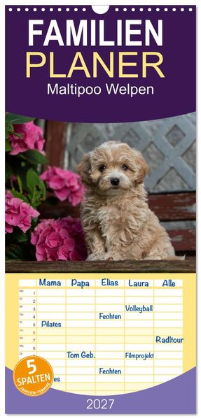Familienplaner 2027 - Maltipoo Welpen mit 5 Spalten (Wandkalender 21 x 45 cm) CALVENDO