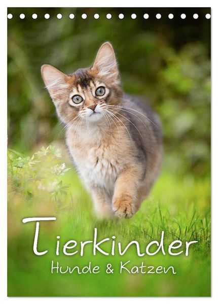 Tierkinder Hunde und Katzen (Tischkalender 2027 DIN A5 hoch) CALVENDO Monatskalender