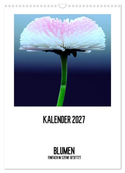 BLUMEN EINFACH IN SZENE GESETZT (Wandkalender 2027 DIN A3 hoch) CALVENDO Monatskalender