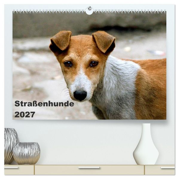 Straßenhunde (hochwertiger Premium Wandkalender 2027 DIN A2 quer) Kunstdruck in Hochglanz