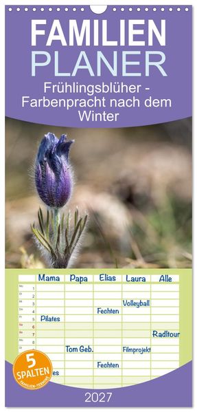 Familienplaner 2027 - Frühlingsblüher - Farbenpracht nach dem Winter mit 5 Spalten (Wandkalender 21 x 45 cm) CALVENDO