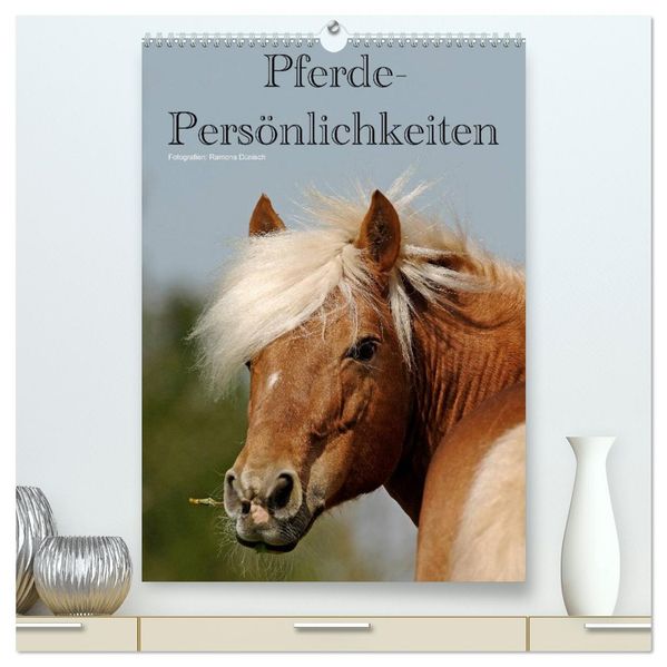 Pferde-Persönlichkeiten - ausdrucksstarke Gesichter verschiedener Pferderassen (hochwertiger Premium Wandkalender 2027 DIN A2 hoch) Kunstdruck in Hochglanz