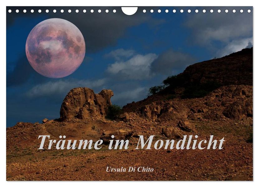 Träume im Mondlicht (Wandkalender 2027 DIN A4 quer) CALVENDO Monatskalender