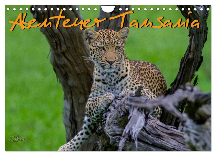 Abenteuer Tansania Afrika (Wandkalender 2027 DIN A4 quer) CALVENDO Monatskalender