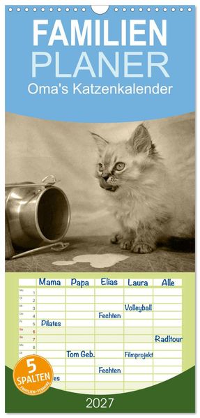 Familienplaner 2027 - Oma's Katzenkalender 2027 mit 5 Spalten (Wandkalender 21 x 45 cm) CALVENDO