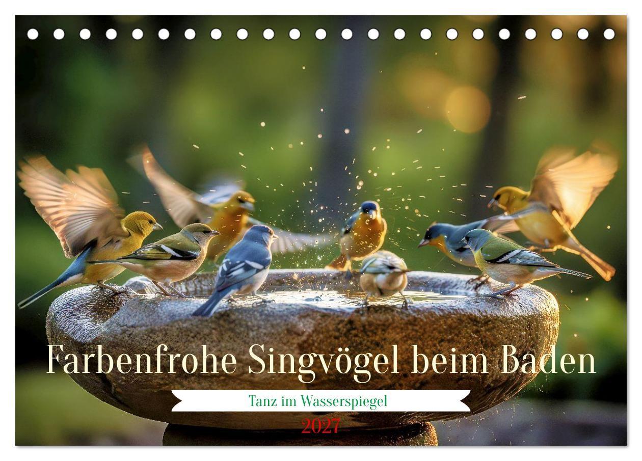 Farbenfrohe Singvögel beim Baden (Tischkalender 2027 DIN A5 quer) CALVENDO Monatskalender