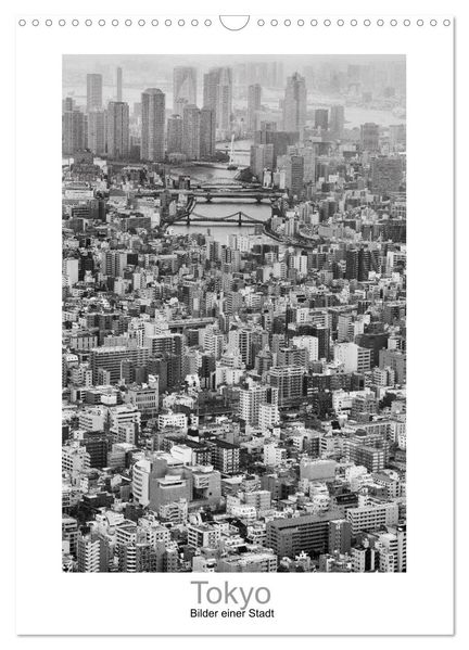Tokyo - Bilder einer Stadt (Wandkalender 2027 DIN A3 hoch) CALVENDO Monatskalender