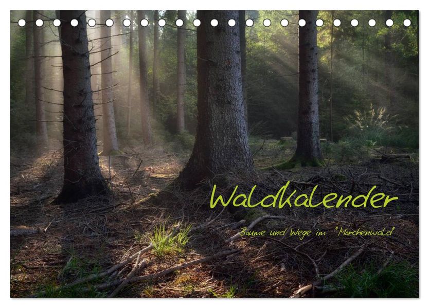 Waldkalender (Tischkalender 2027 DIN A5 quer) CALVENDO Monatskalender